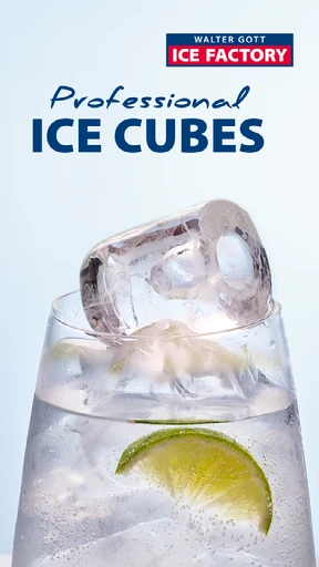 Pro Ice Cubes