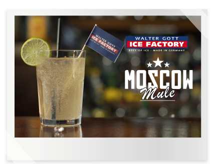 moscowmule polaroid