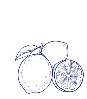 zitronenlimonade frucht